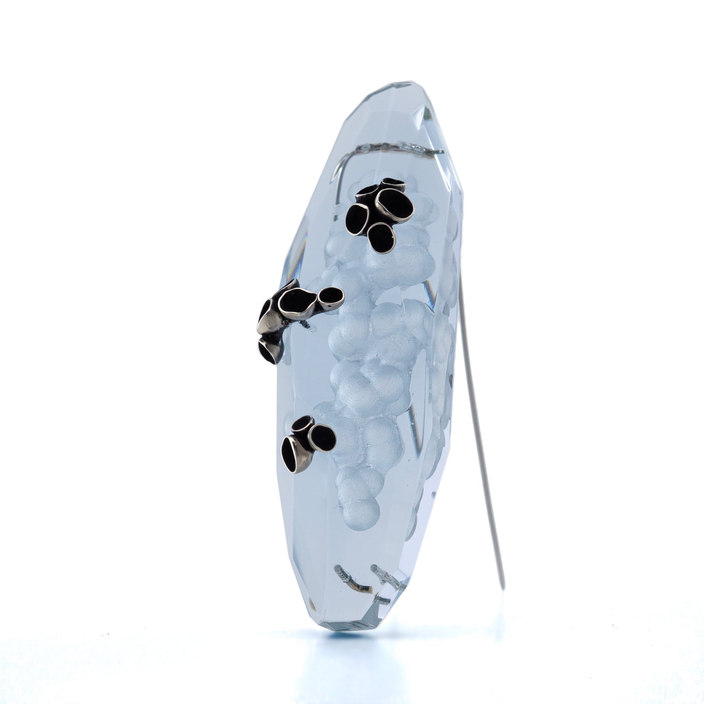 Symbiotic Facets - Pezizaceae Brooch
