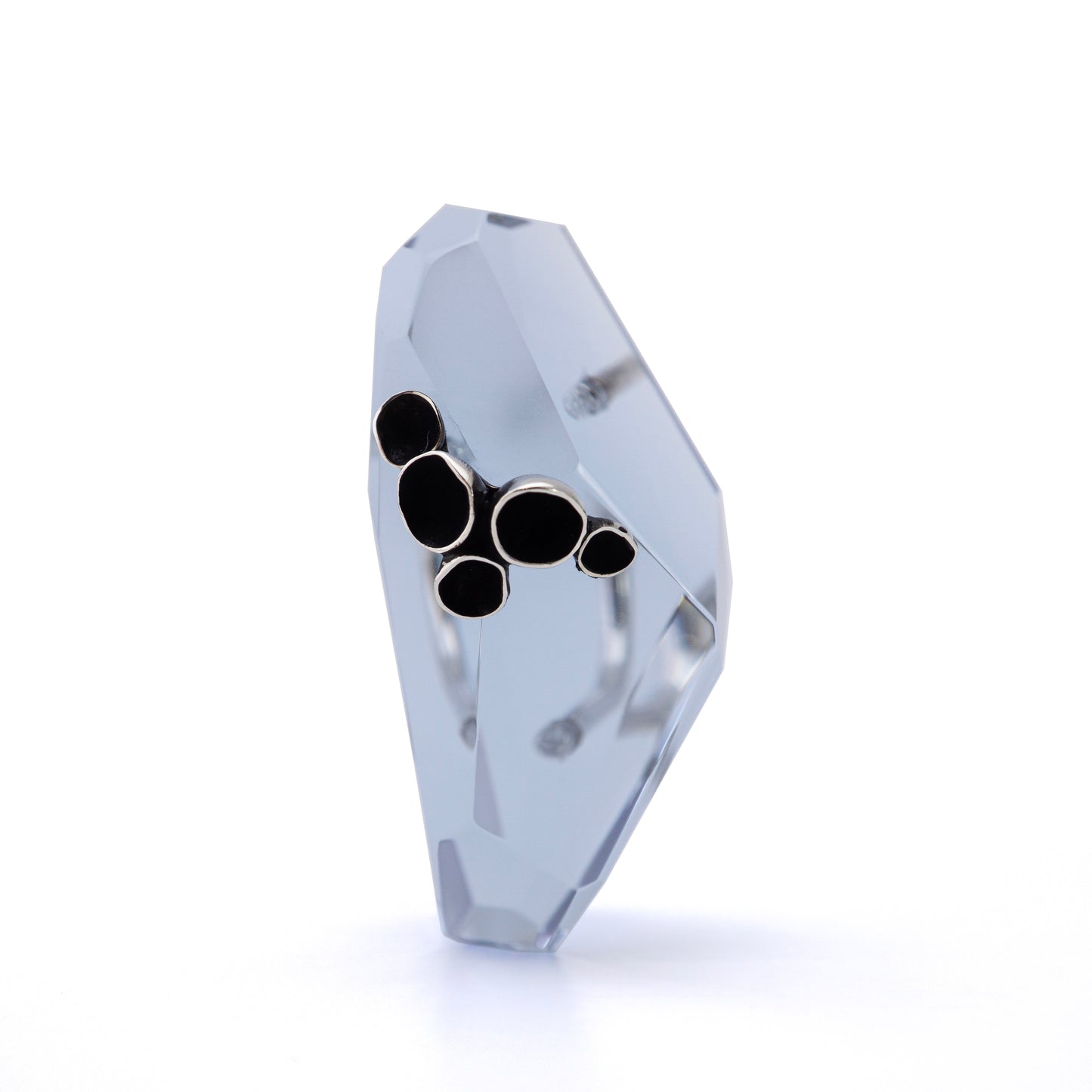 Symbiotic Facets - Pezizaceae Ring No.2