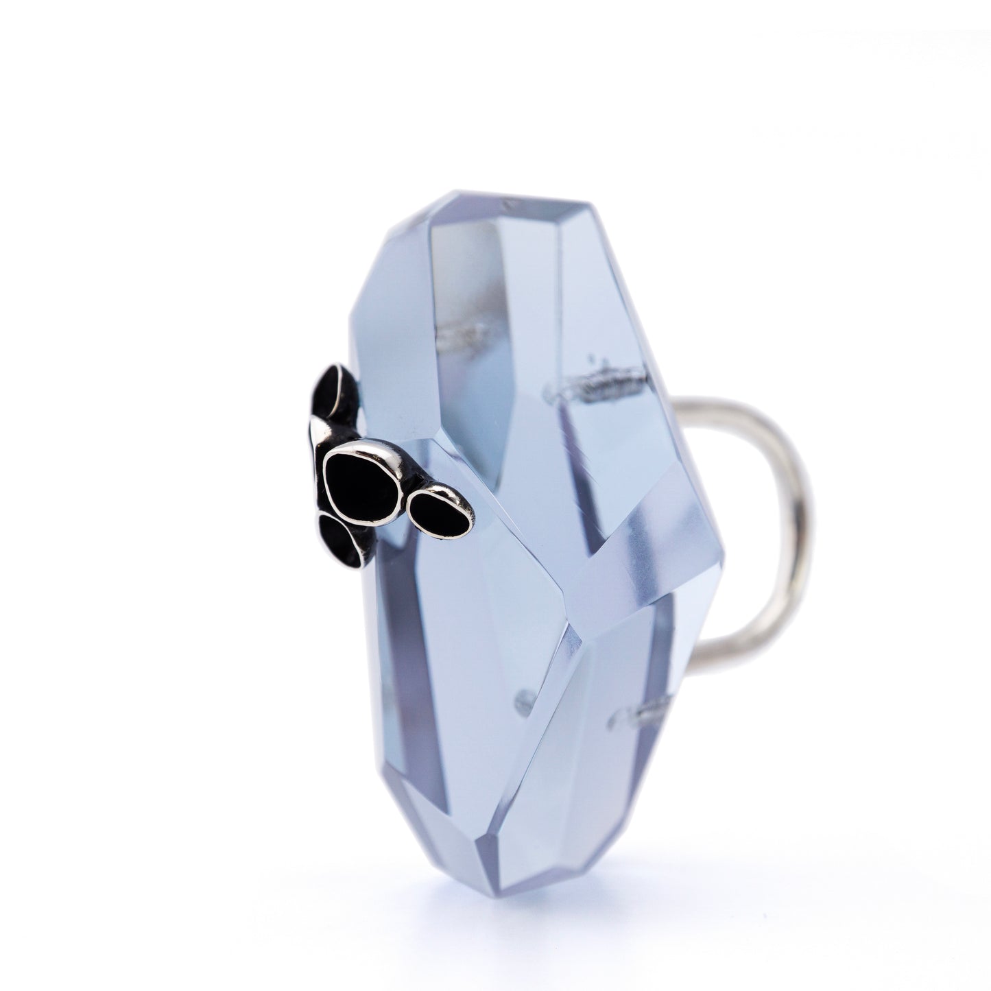 Symbiotic Facets - Pezizaceae Ring No.2