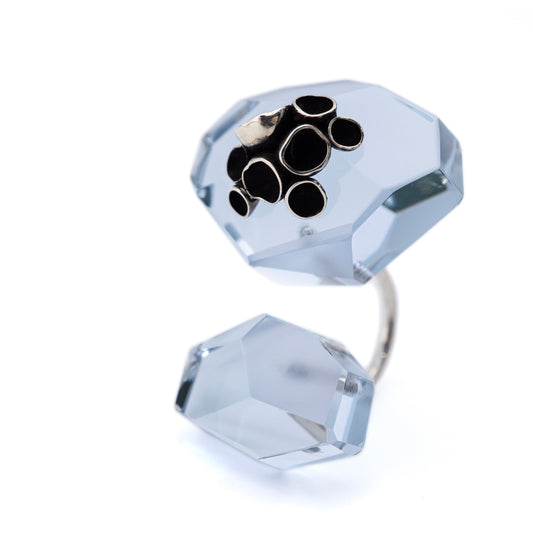Symbiotic Facets - Pezizaceae Ring No.1
