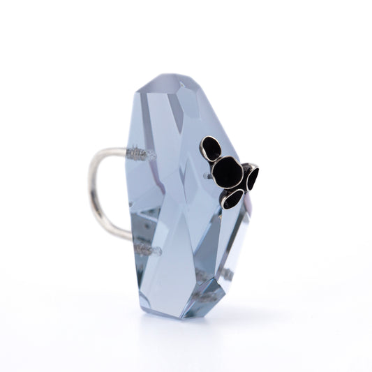 Symbiotic Facets - Pezizaceae Ring No.2